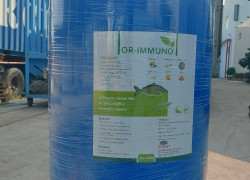 Or-Immuno, thảo dược thay thế kháng sinh, bổ gan, tăng cường khả năng miễn dịch ở vật nuôi